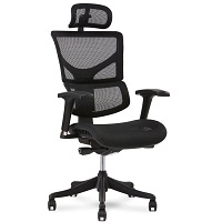 BEST FOR STUDY TASK CHAIR WITH LUMBAR SUPPORT Summary