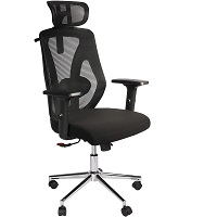 BEST MESH OFFICE CHAIR WITH ADJUSTABLE LUMBAR SUPPORT Summary