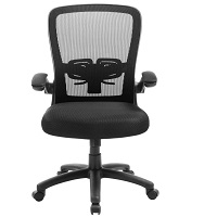 BEST OF BEST OFFICE CHAIR WITH ADJUSTABLE ARMS AND LUMBAR SUPPORT Summary