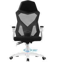 BEST OF BEST TASK CHAIR WITH LUMBAR SUPPORT Summary