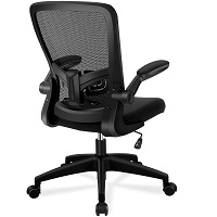 BEST WITH ADJUSTABLE ARMRESTS CHAIR WITH ADJUSTABLE LUMBAR SUPPORT Summary