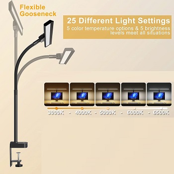 LED Desk Lamp, KARY 24 Watts O