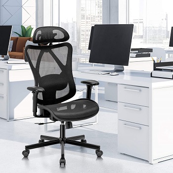 Sunnow AM Computer Chair