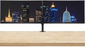 HP p244 dual monitorrr