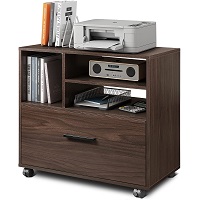 DEVAISE Wood Lateral File Cabinet with picks