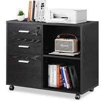 DEVAISE 3-Drawer Wood File Cabinet with Lock, picks