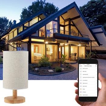 Cevitor Smart Home Wifi Table Lamp review