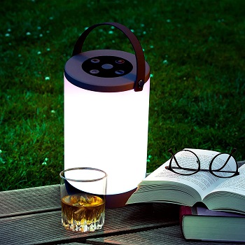 Hiwoo Portable Table Lamp