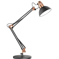 LEPOWER Metal Desk Lamp, Adjustable Goose Neck picks