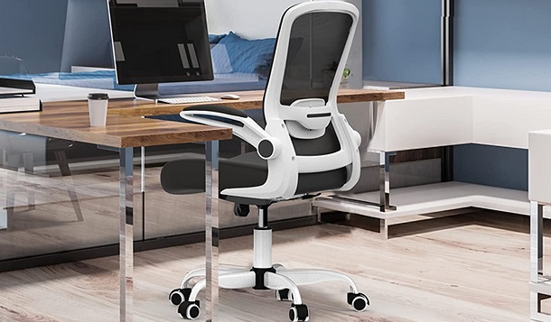 mimoglad Upgraded Ergonomic Office Chair, Home Office Desk Chairs with review