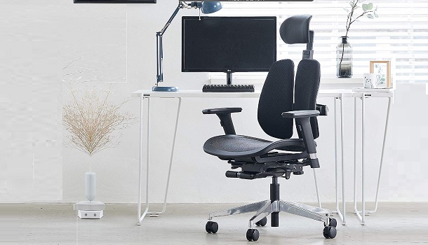 %E3%80%90DUOREST-Alpha%E3%80%91-Dual-Back-Home-Office-Desk-Chairs-review