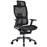 MOOJIRS Ergonomic Office Chair picks