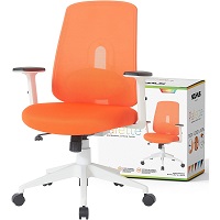 NOUHAUS Palette Ergonomic Office Chair picks