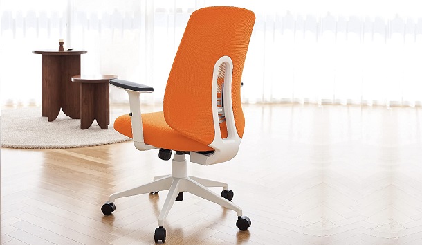 NOUHAUS Palette Ergonomic Office Chair review