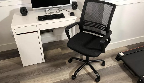ergonomic features of $30 desk chair