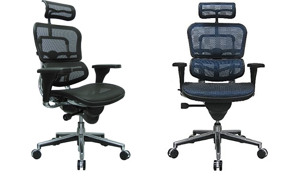 Ergohuman High Back Swivel Chair with Headrest review