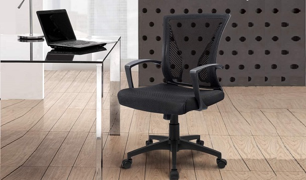Furmax Office Chair Mid Back Swivel Lumbar Support review